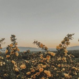 Meet your Posher, Brenna